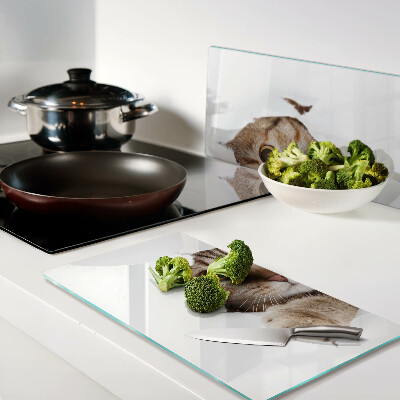 Tábua para cozinha Um gato saindo de um buraco