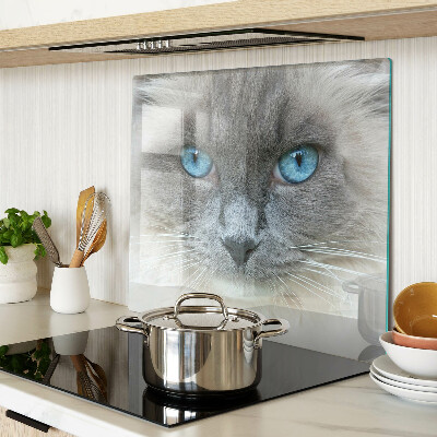 Tábua para cozinha Um gato com olhos azuis