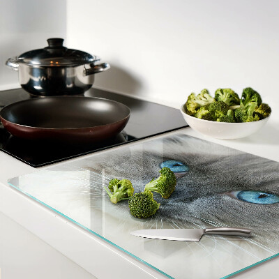 Tábua para cozinha Um gato com olhos azuis