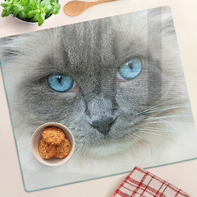 Tábua para cozinha Um gato com olhos azuis