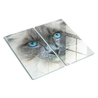 Tábua para cozinha Um gato com olhos azuis