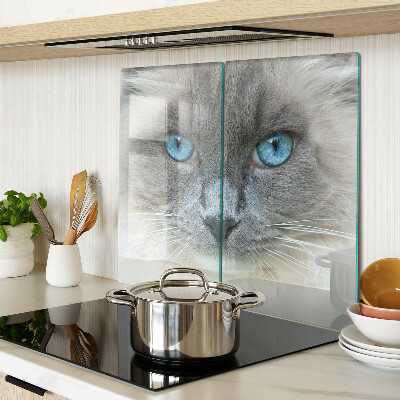 Tábua para cozinha Um gato com olhos azuis