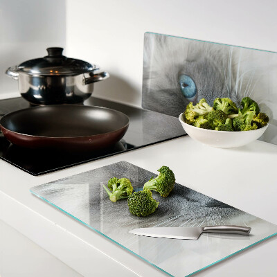 Tábua para cozinha Um gato com olhos azuis