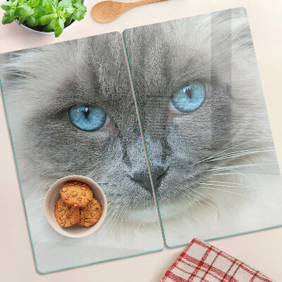 Tábua para cozinha Um gato com olhos azuis
