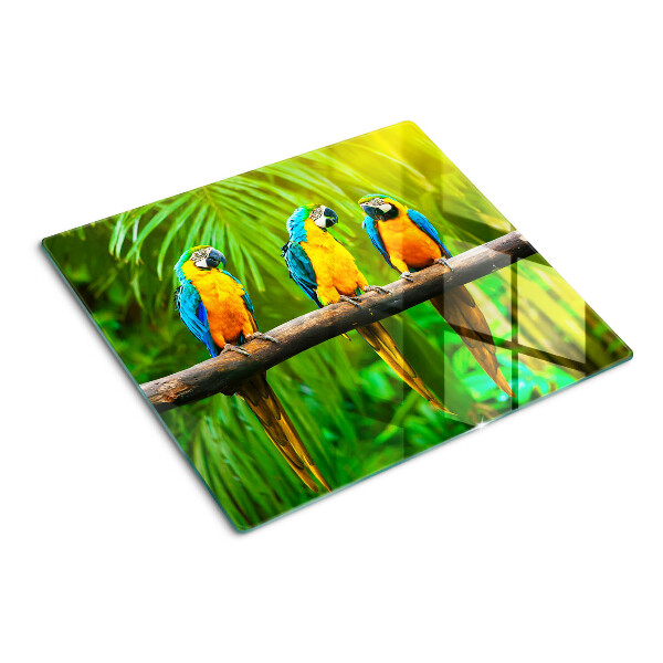 Tábua para corte Papagaios em um galho nos trópicos