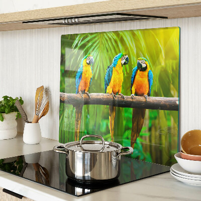 Tábua para corte Papagaios em um galho nos trópicos