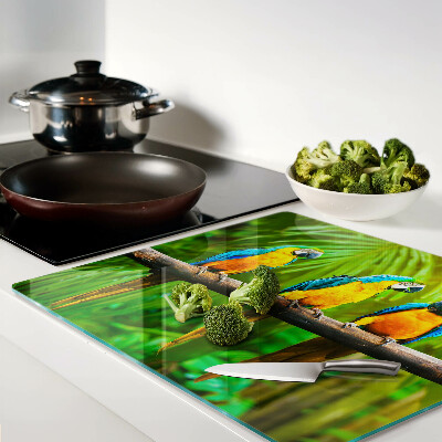 Tábua para corte Papagaios em um galho nos trópicos