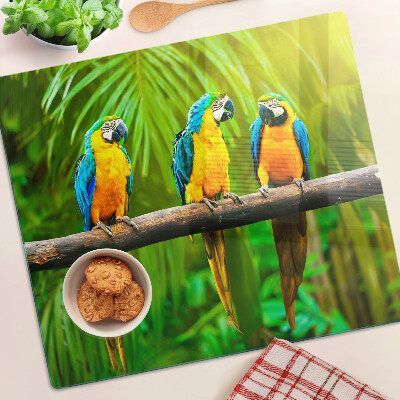 Tábua para corte Papagaios em um galho nos trópicos