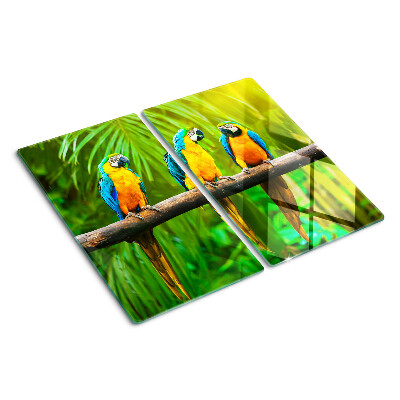 Tábua para corte Papagaios em um galho nos trópicos