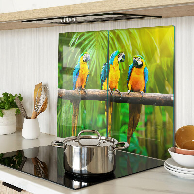 Tábua para corte Papagaios em um galho nos trópicos