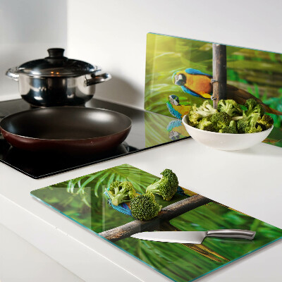 Tábua para corte Papagaios em um galho nos trópicos