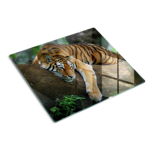 Tábua para cozinha Tigre no tronco de uma árvore