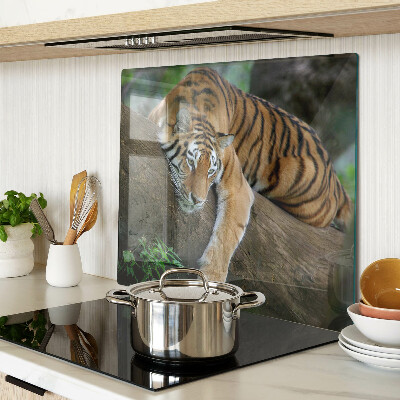 Tábua para cozinha Tigre no tronco de uma árvore