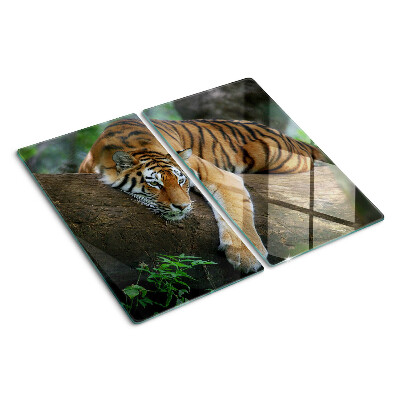 Tábua para cozinha Tigre no tronco de uma árvore