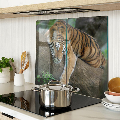 Tábua para cozinha Tigre no tronco de uma árvore