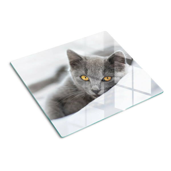 Tábua para cozinha Um gato com olhos amarelos