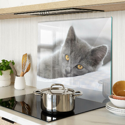 Tábua para cozinha Um gato com olhos amarelos