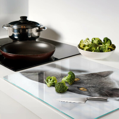 Tábua para cozinha Um gato com olhos amarelos