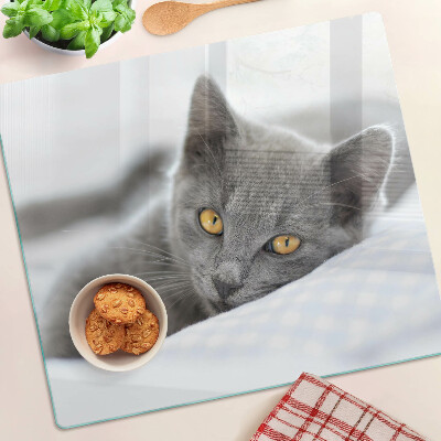 Tábua para cozinha Um gato com olhos amarelos
