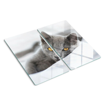 Tábua para cozinha Um gato com olhos amarelos