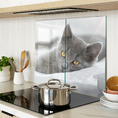 Tábua para cozinha Um gato com olhos amarelos