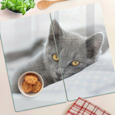 Tábua para cozinha Um gato com olhos amarelos