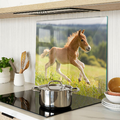 Tábua para cozinha Potro no prado