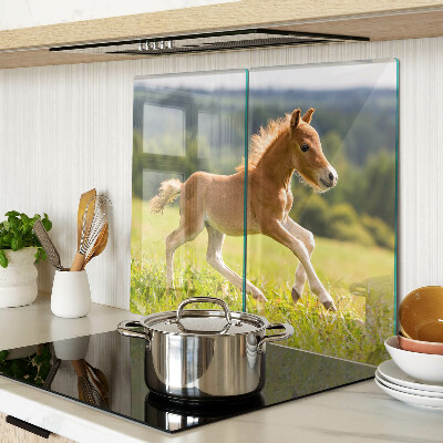 Tábua para cozinha Potro no prado