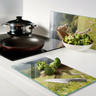 Tábua para cozinha Potro no prado