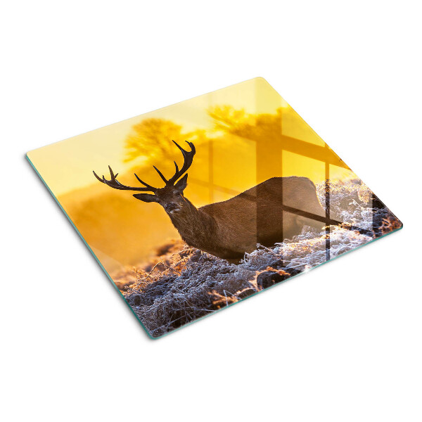 Tábua para cozinha Um veado no fundo de uma paisagem matinal