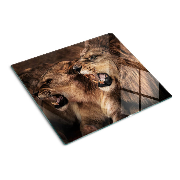 Tábua para corte Leões rugindo