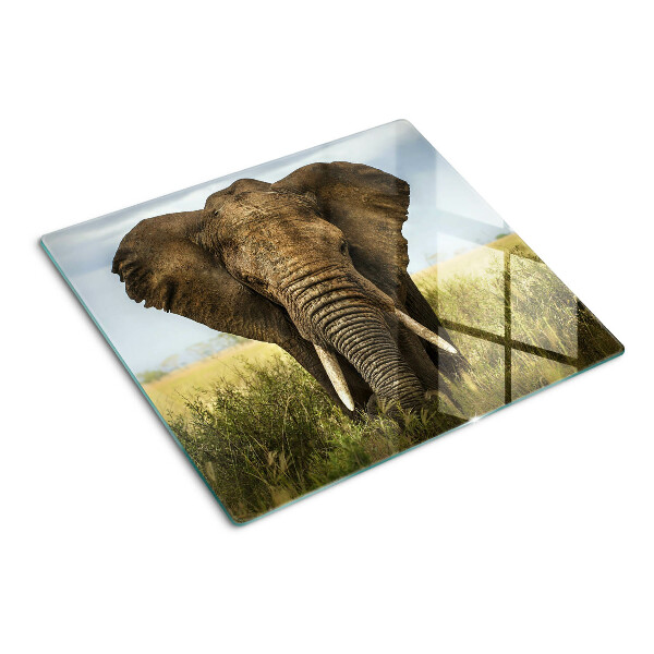 Tábua para corte Um elefante tendo como pano de fundo a savana africana