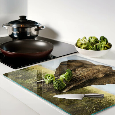 Tábua para corte Um elefante tendo como pano de fundo a savana africana