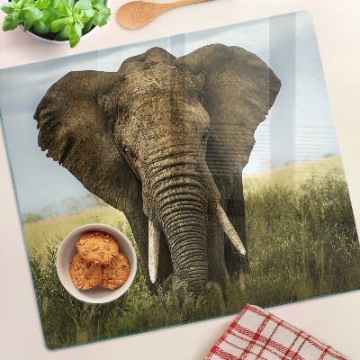 Tábua para corte Um elefante tendo como pano de fundo a savana africana