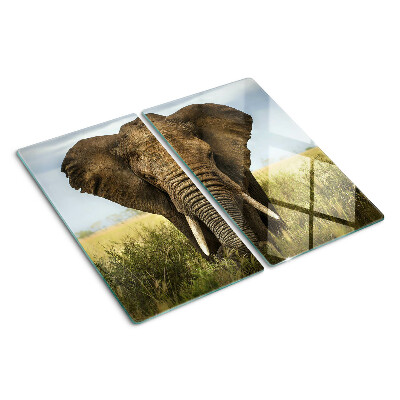 Tábua para corte Um elefante tendo como pano de fundo a savana africana