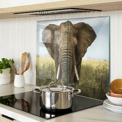 Tábua para corte Um elefante tendo como pano de fundo a savana africana