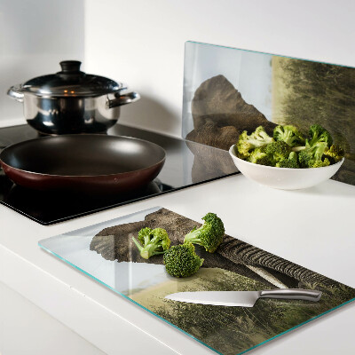 Tábua para corte Um elefante tendo como pano de fundo a savana africana