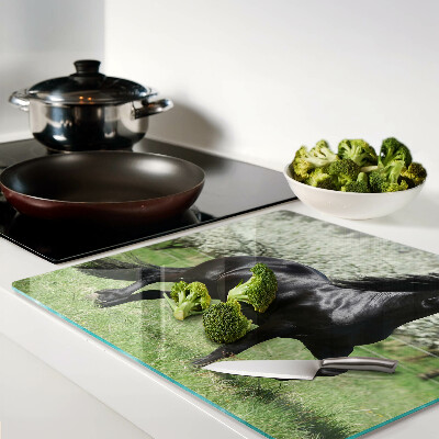 Tábua para cozinha Cavalo preto no prado