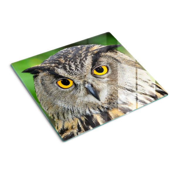 Tábua para corte Uma coruja com olhos expressivos