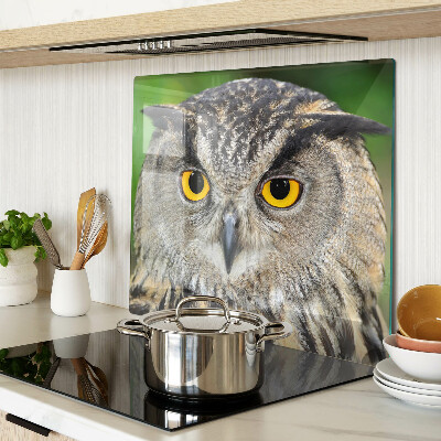 Tábua para corte Uma coruja com olhos expressivos