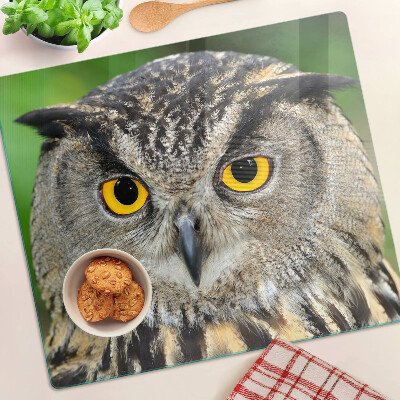 Tábua para corte Uma coruja com olhos expressivos