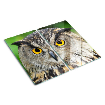 Tábua para corte Uma coruja com olhos expressivos