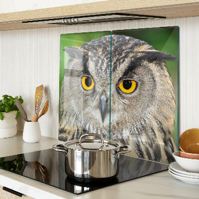Tábua para corte Uma coruja com olhos expressivos