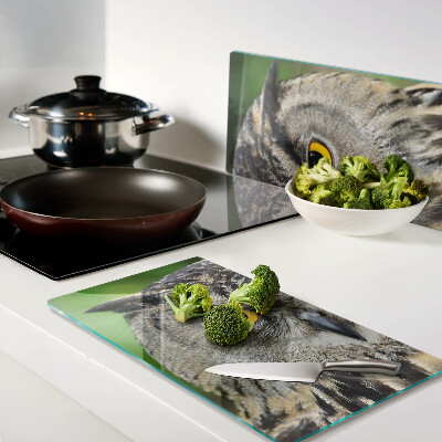 Tábua para corte Uma coruja com olhos expressivos