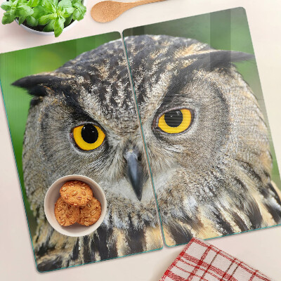 Tábua para corte Uma coruja com olhos expressivos