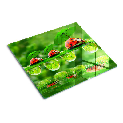 Tábua para cozinha Joaninhas em folhas com gotas de água