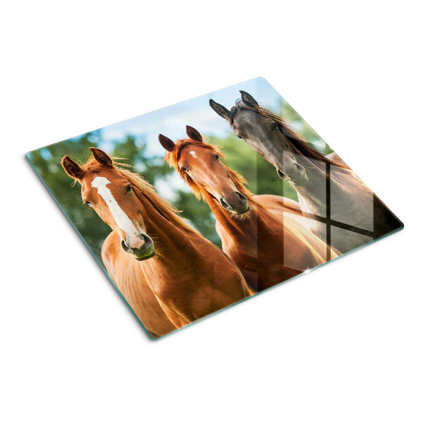 Tábua para corte Cavalos na natureza