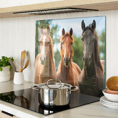 Tábua para corte Cavalos na natureza