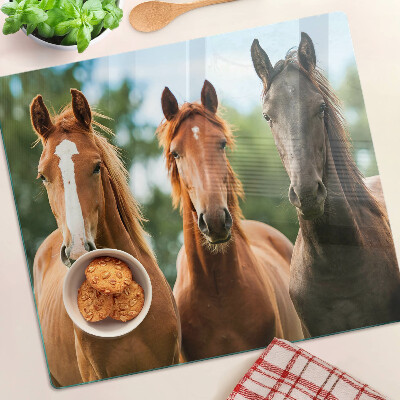 Tábua para corte Cavalos na natureza