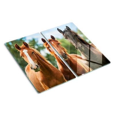 Tábua para corte Cavalos na natureza